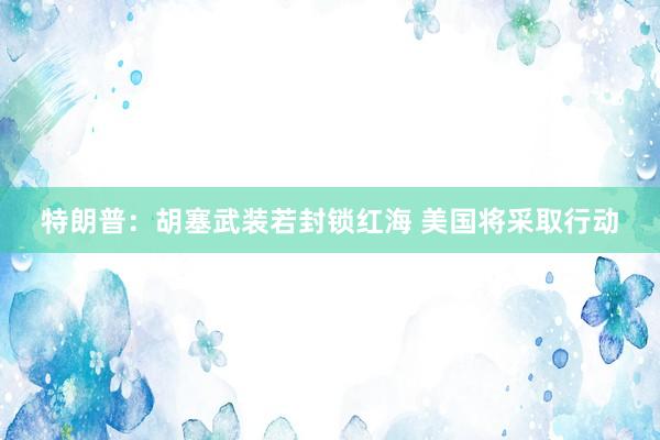 特朗普：胡塞武装若封锁红海 美国将采取行动