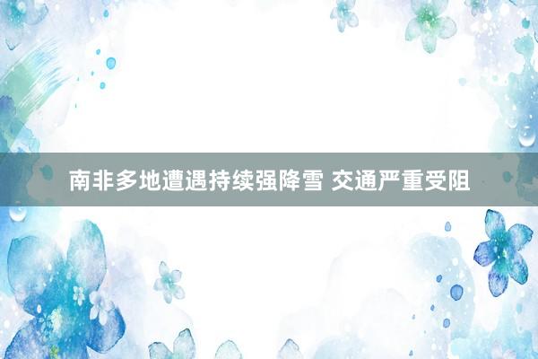 南非多地遭遇持续强降雪 交通严重受阻