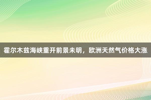 霍尔木兹海峡重开前景未明，欧洲天然气价格大涨