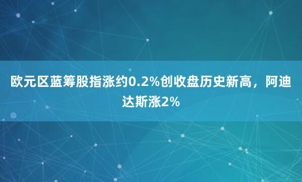 欧元区蓝筹股指涨约0.2%创收盘历史新高，阿迪达斯涨2%