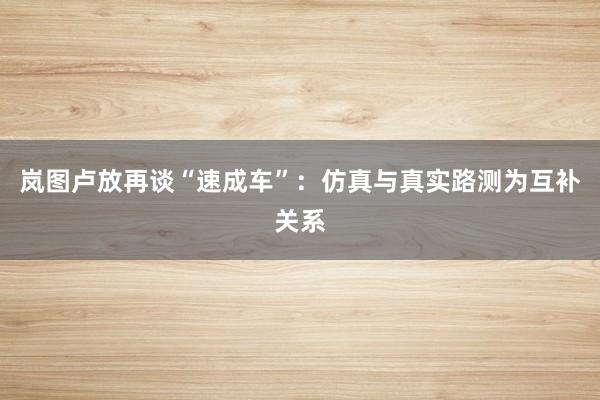 岚图卢放再谈“速成车”：仿真与真实路测为互补关系