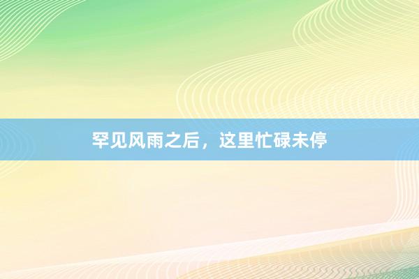 罕见风雨之后，这里忙碌未停