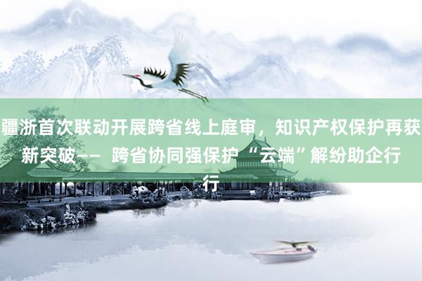 疆浙首次联动开展跨省线上庭审，知识产权保护再获新突破——  跨省协同强保护 “云端”解纷助企行