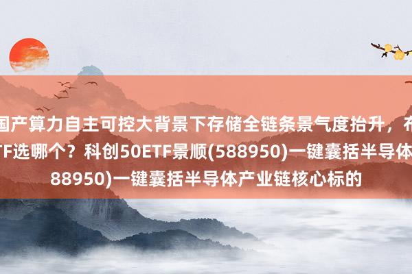 国产算力自主可控大背景下存储全链条景气度抬升，布局科创板宽基ETF选哪个？科创50ETF景顺(588950)一键囊括半导体产业链核心标的