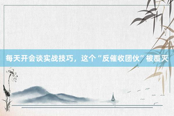 每天开会谈实战技巧，这个“反催收团伙”被覆灭
