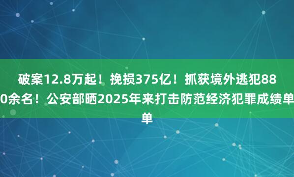 破案12.8万起！挽损375亿！抓获境外逃犯880余名！公安部晒2025年来打击防范经济犯罪成绩单