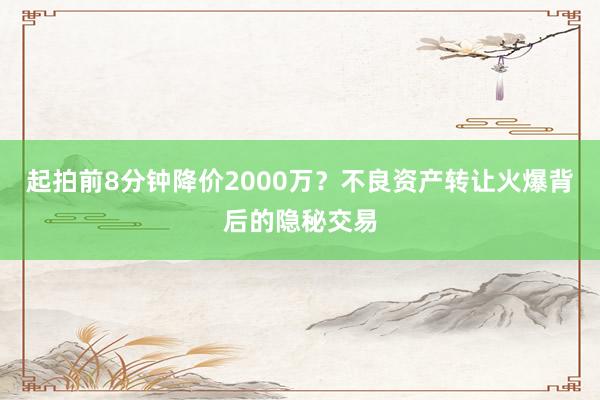 起拍前8分钟降价2000万？不良资产转让火爆背后的隐秘交易