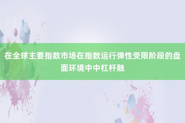 在全球主要指数市场在指数运行弹性受限阶段的盘面环境中中杠杆融