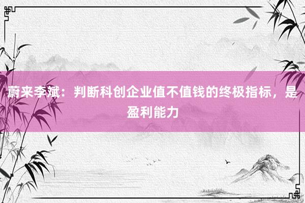 蔚来李斌：判断科创企业值不值钱的终极指标，是盈利能力