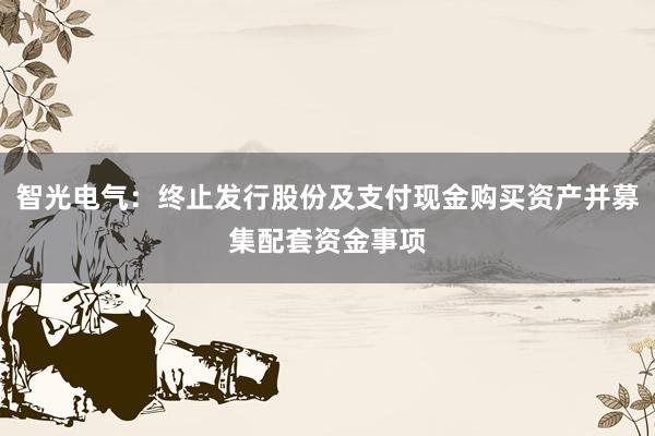 智光电气：终止发行股份及支付现金购买资产并募集配套资金事项