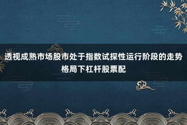透视成熟市场股市处于指数试探性运行阶段的走势格局下杠杆股票配