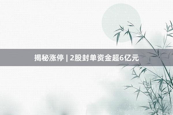 揭秘涨停 | 2股封单资金超6亿元