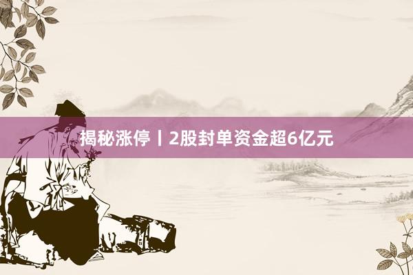 揭秘涨停丨2股封单资金超6亿元