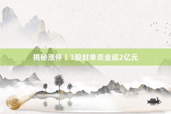 揭秘涨停丨3股封单资金超2亿元