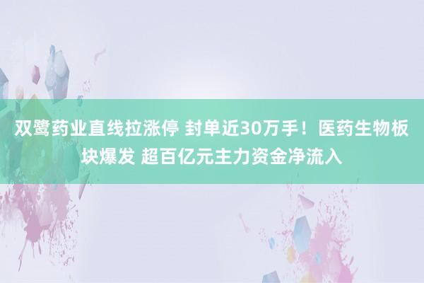 双鹭药业直线拉涨停 封单近30万手！医药生物板块爆发 超百亿元主力资金净流入