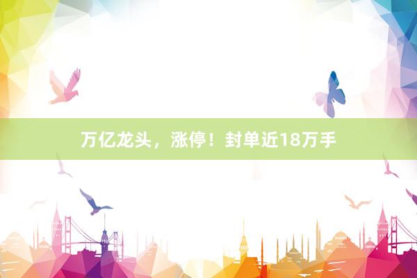 万亿龙头，涨停！封单近18万手