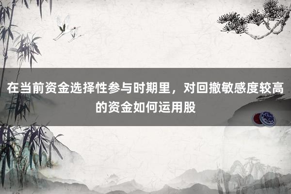 在当前资金选择性参与时期里，对回撤敏感度较高的资金如何运用股