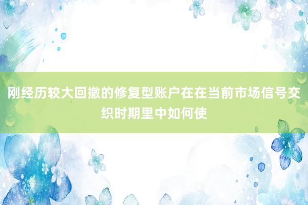 刚经历较大回撤的修复型账户在在当前市场信号交织时期里中如何使