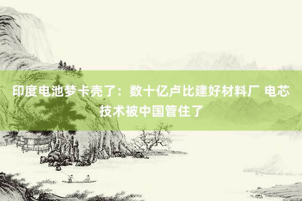 印度电池梦卡壳了：数十亿卢比建好材料厂 电芯技术被中国管住了