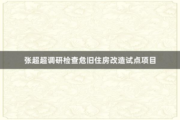 张超超调研检查危旧住房改造试点项目