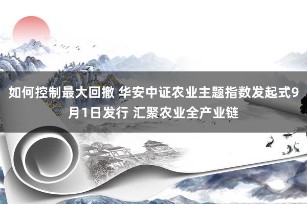 如何控制最大回撤 华安中证农业主题指数发起式9月1日发行 汇聚农业全产业链