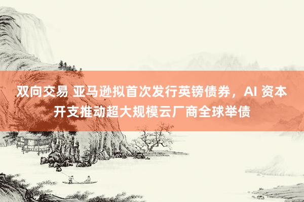 双向交易 亚马逊拟首次发行英镑债券，AI 资本开支推动超大规模云厂商全球举债