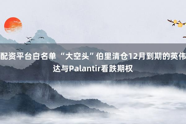 配资平台白名单 “大空头”伯里清仓12月到期的英伟达与Palantir看跌期权